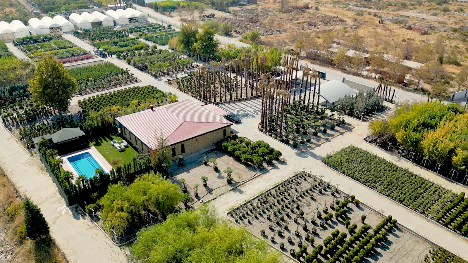 Turgutlu Botanik Park koleksiyonundan